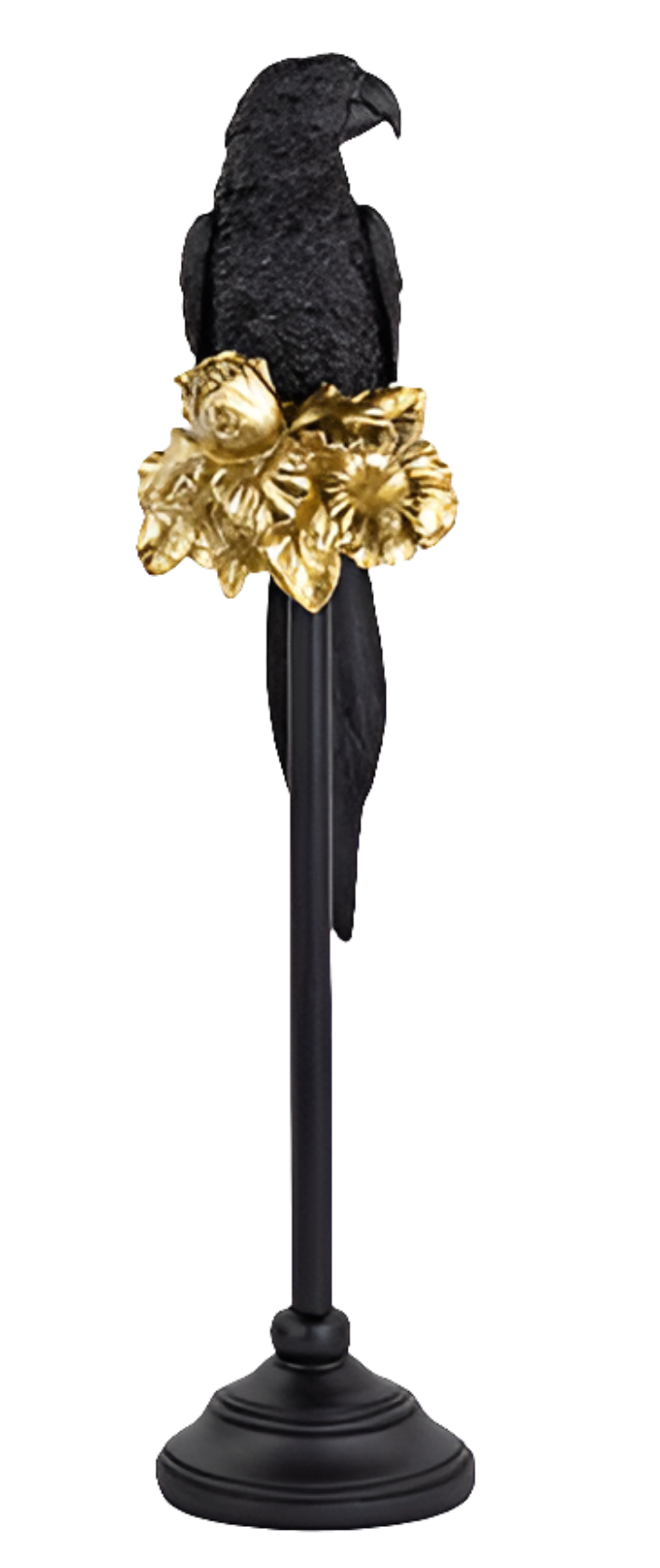 PAPPAGALLO NERO