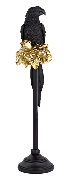 PAPPAGALLO NERO
