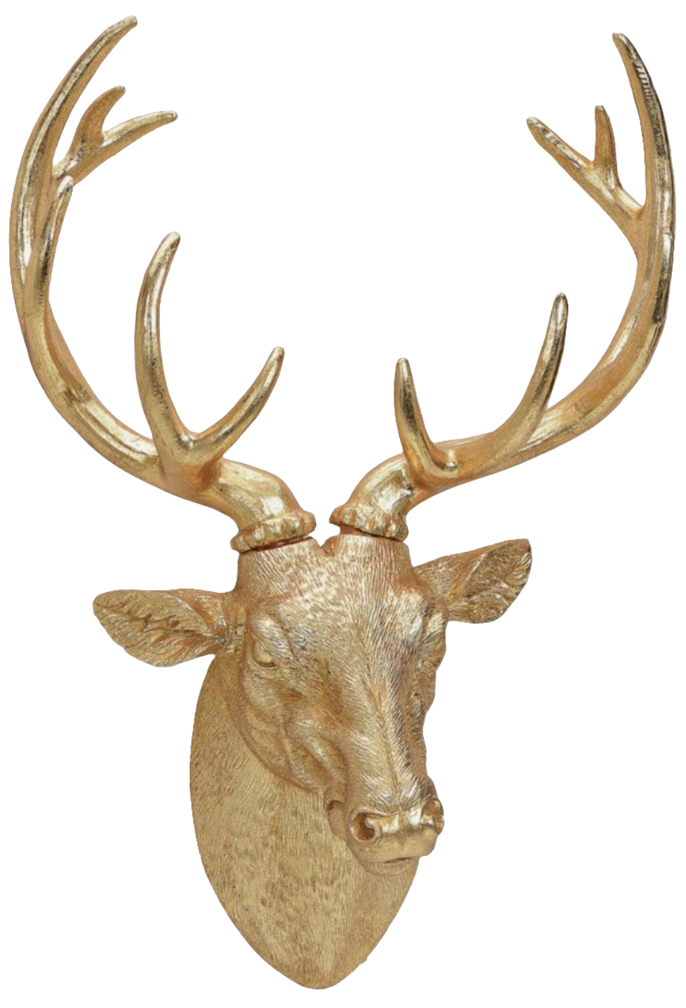 CERVO DA PARETE