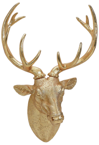 CERVO DA PARETE