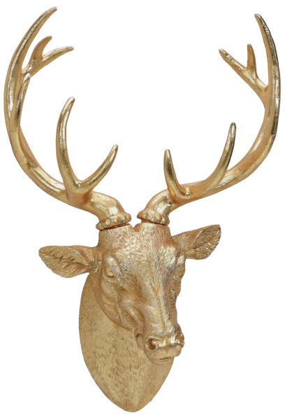 CERVO DA PARETE