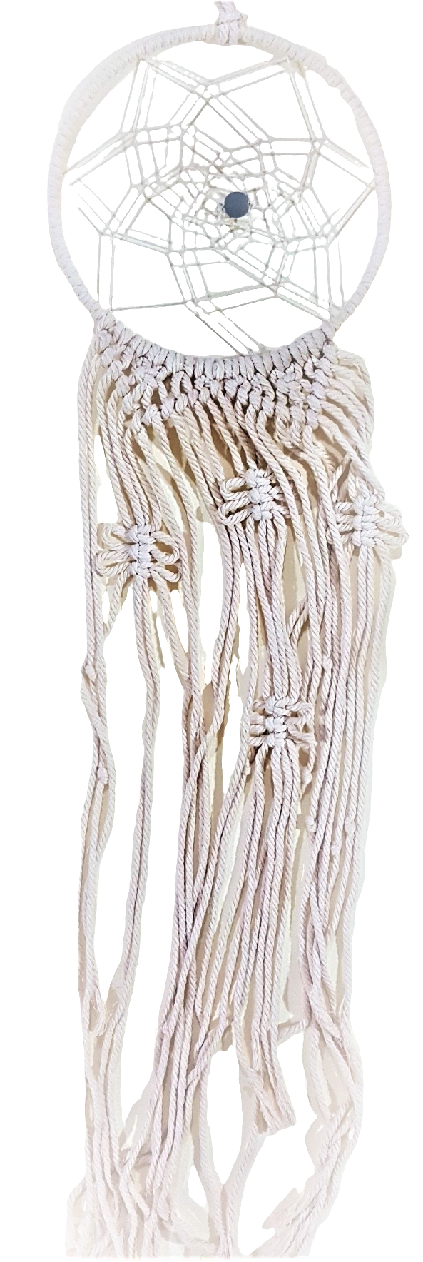 ACCHIAPPASOGNI