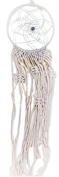 ACCHIAPPASOGNI