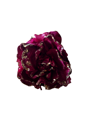 Peonia con clip