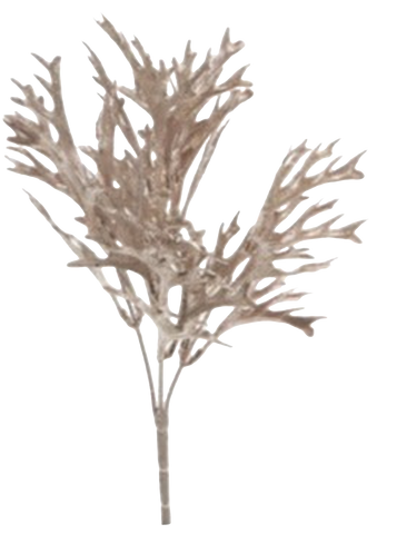 DECORAZIONE FELCE