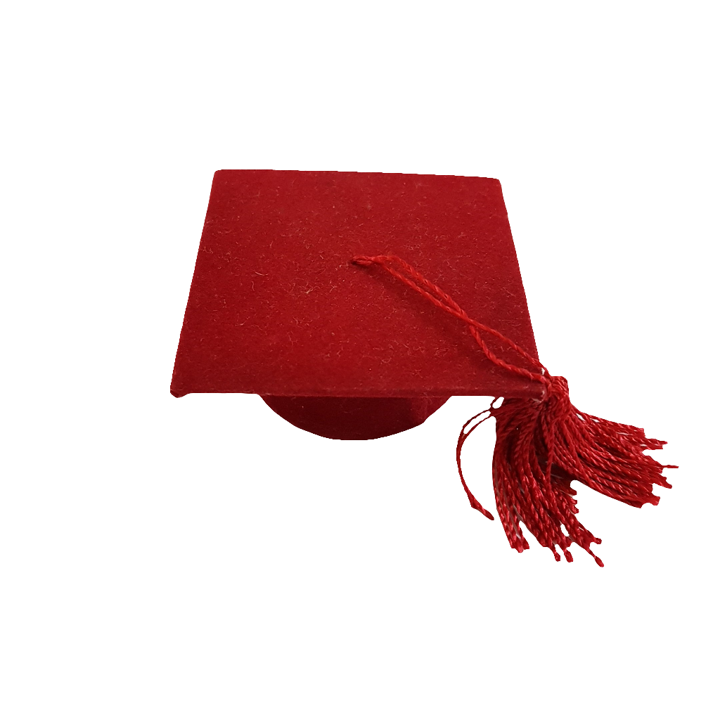 BOMBONIERA LAUREA TOCCO