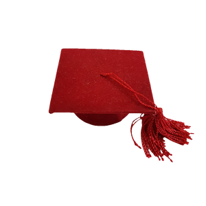BOMBONIERA LAUREA TOCCO
