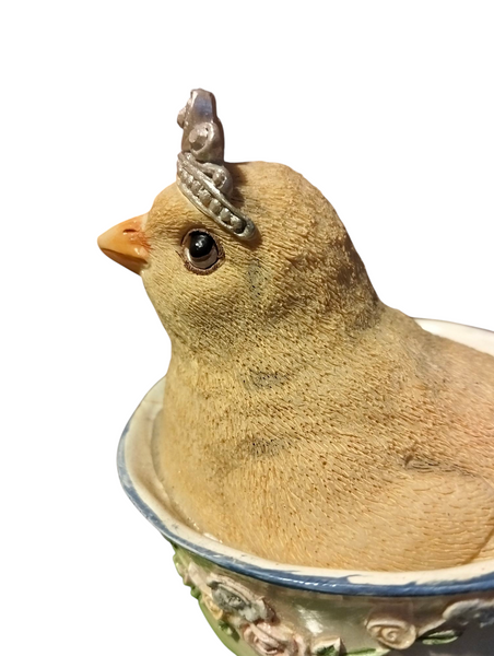 PULCINO PASQUALE