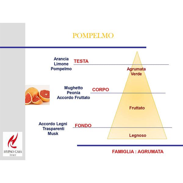 DIFFUSORE AMBIENTE HYPNO POMPELMO